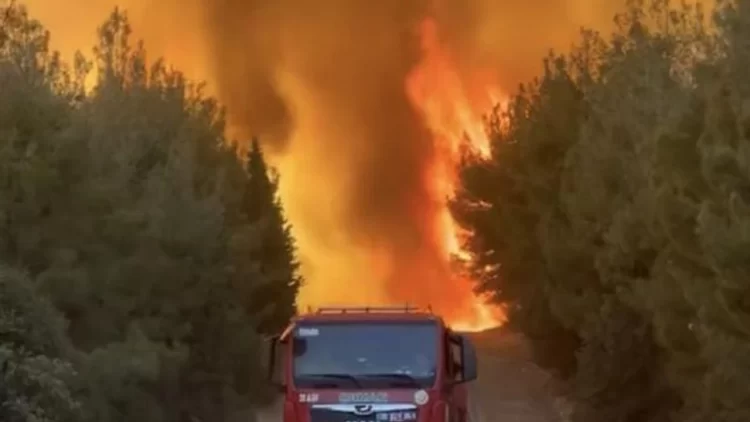 İzmir’in Aliağa ilçesine bağlı Bozköy ve Horozgediği bölgelerinde dün öğle saatlerinde başlayan orman yangını, rüzgarın etkisiyle Foça’nın Ilıpınar Mahallesi’ne kadar ilerledi.