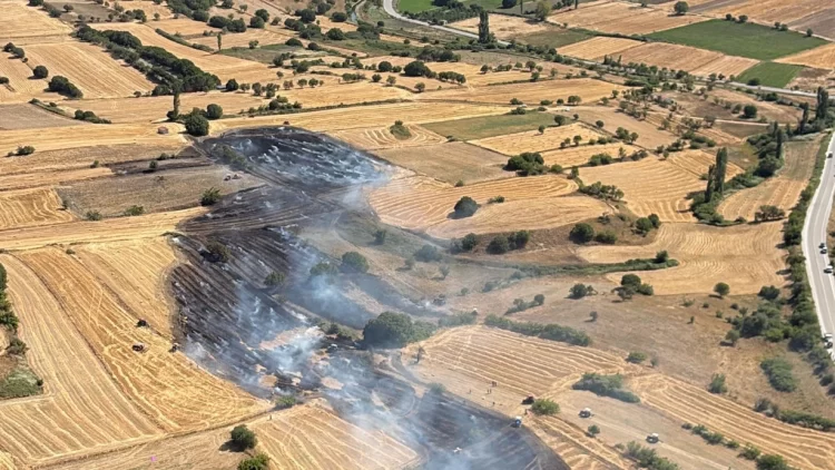 Balıkesir’in Kepsut ilçesine bağlı Şeremetler Mahallesi’nde yer alan kırsal alanda, nedeni henüz belirlenemeyen bir yangın çıktı.