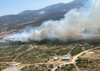Didim’de makilik alanda yangın çıktı