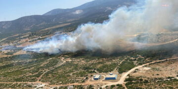 Didim’de makilik alanda yangın çıktı