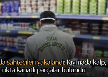 Gıda sahtecileri yakalandı: Kıymada kalp, sucukta kanatlı parçalar bulundu