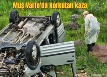 Muş Varto’da, tır ile hafif ticari araç çarpıştı!