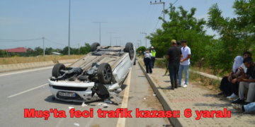 Muş’ta feci trafik kazası: 6 yaralı