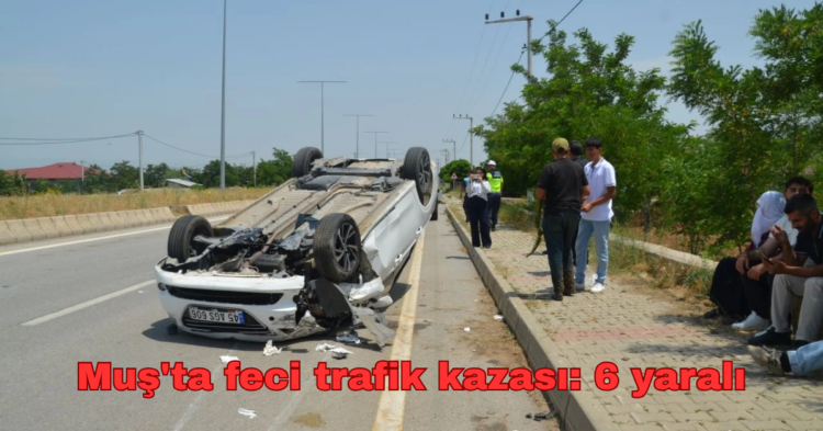 musta feci trafik kazasi 6 yarali habermeydan