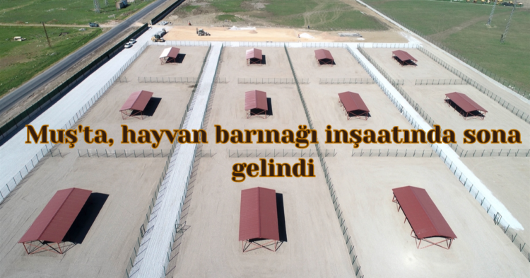 musta hayvan barinagi insaatinde sona gelindi habermeydan