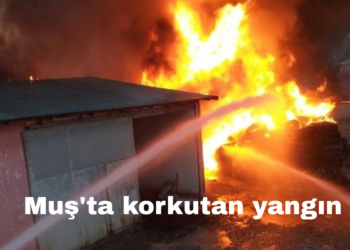 Muş’ta korkutan yangın!