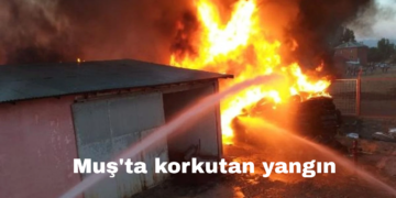 Muş’ta korkutan yangın!