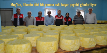 Muş’tan, ülkenin dört bir yanına eski kaşar peyniri gönderiliyor!