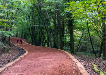 Valilik duyurdu! İstanbul’da orman yangınlarına karşı önlem