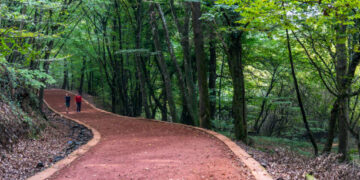 Valilik duyurdu! İstanbul’da orman yangınlarına karşı önlem