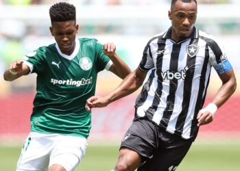 Palmeiras, Botafogo’yu geçip çeyrek finale yükseldi!