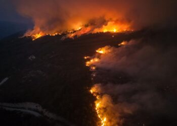 Seferihisar’da büyük yangın: 345 haneli yazlık site tamamen yandı