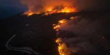 Seferihisar’da büyük yangın: 345 haneli yazlık site tamamen yandı