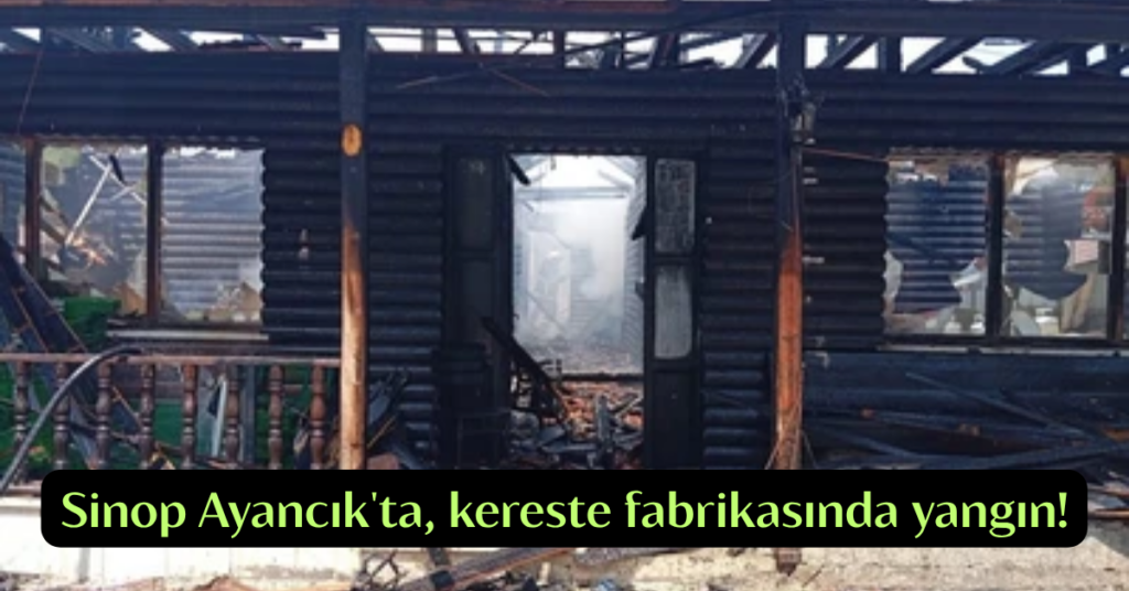 sinop ayancikta kereste fabrikasinda yangin habermeydan