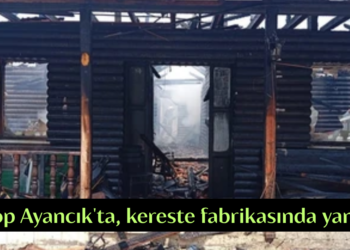 Sinop Ayancık’ta, kereste fabrikasında yangın!