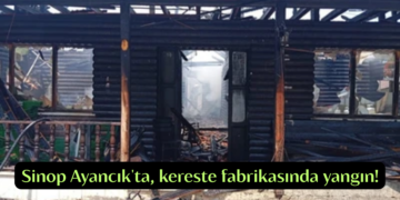 Sinop Ayancık’ta, kereste fabrikasında yangın!