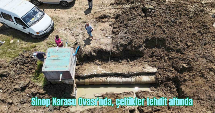 sinop karasu ovasinda celtikler tehdit altinda habermeydan