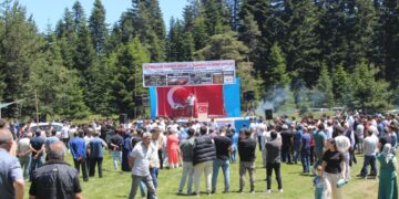 Sinop Türkeli’de, geleneksel piknik festivali!