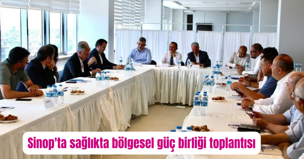sinopta saglikta bolgesel gucbirligi toplantisi yapildi habermeydan