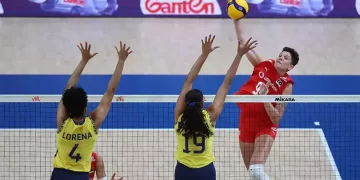 Türkiye 1-3 Brezilya