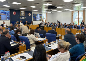 Zeytinliklerle ilgili teklif komisyonda kabul edildi