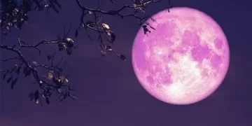 20 Temmuz 2025 günlük burç yorumları