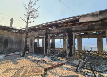 Bakan Kurum 6 ilde 104 bağımsız birimin ağır hasarlı olduğunu açıkladı