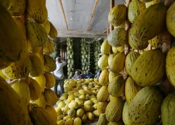 AB’den çifte coğrafi işaret tescili