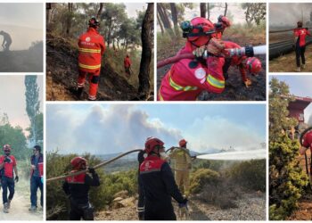 Bakanlık arama kurtarma birimi ekipleri yeşil vatan için sahada