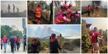 Bakanlık arama kurtarma birimi ekipleri yeşil vatan için sahada