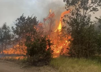 Eskişehir’deki orman yangınına müdahalede şehit olanlar için başsağlığı mesajları
