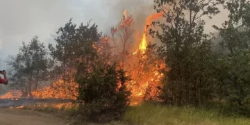 Eskişehir’deki orman yangınına müdahalede şehit olanlar için başsağlığı mesajları
