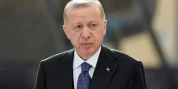 Cumhurbaşkanı Erdoğan, Güney Kore Cumhurbaşkanı Lee Jae-myung ile görüştü