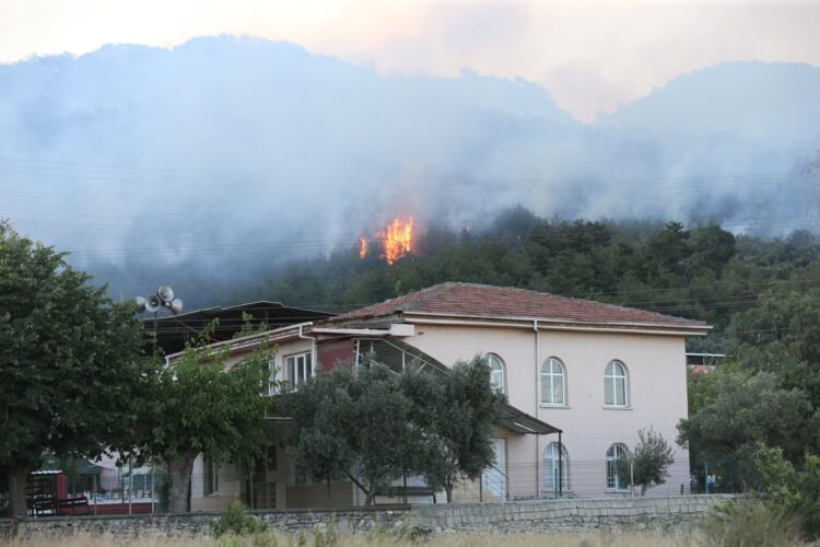 Hatay2 habermeydan