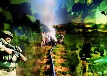 Diyarbakır’da 4 Milyon 459 Bin Adet Kök Kenevir ve Skunk İle 150 Kg Esrar Ele Geçirildi