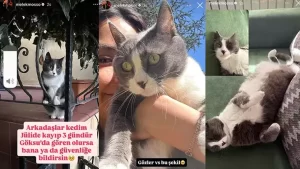 Melek Mosso uzucu haber2 habermeydan