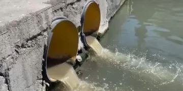 Marmara’da Müsilaj Denetimleri Devam Ediyor