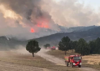 Eskişehir, Sakarya ve Bilecik’te son durum! Sakarya-Bilecik yolu orman yangını nedeniyle trafiğe kapatıldı