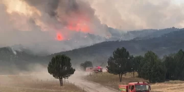 Eskişehir, Sakarya ve Bilecik’te son durum! Sakarya-Bilecik yolu orman yangını nedeniyle trafiğe kapatıldı