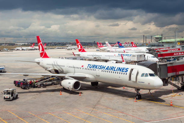THY9 habermeydan