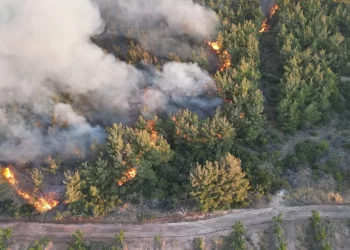 Tekirdağ yangınında son durum! Yangın Çanakkale’ye sıçradı