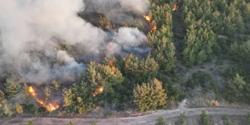 Tekirdağ yangınında son durum! Yangın Çanakkale’ye sıçradı