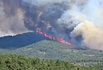 Bakan Göktaş duyurdu! Yangınlardan etkilenen hanelere 10 milyon lira kaynak aktarıldı