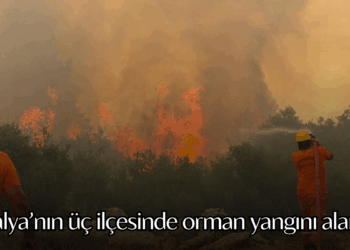 Antalya’nın üç ilçesinde orman yangını alarmı
