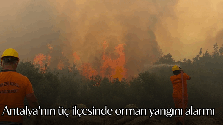 Antalya’nın Aksu, Manavgat ve Muratpaşa ilçelerinde orman yangınları çıktı.