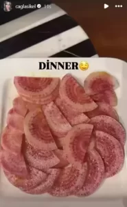 cagla sikel bikini sov4 habermeydan