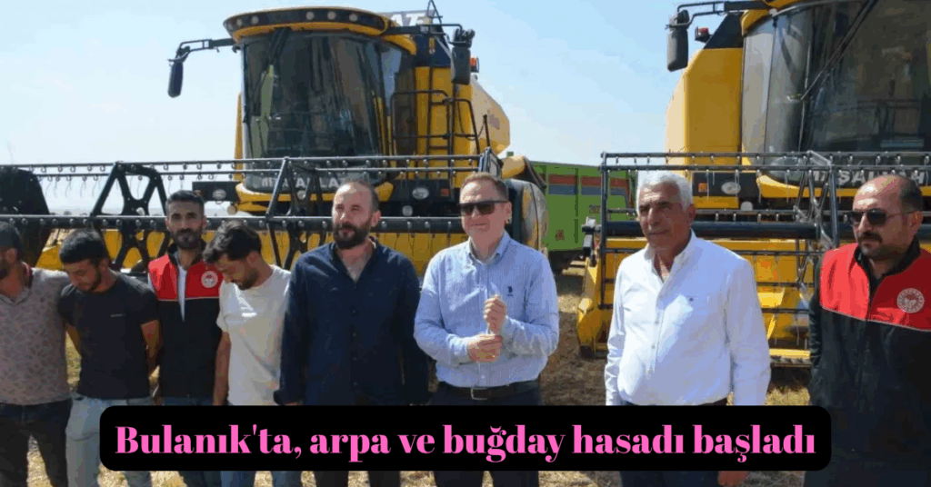 mus bulanikta arpa ve bugday hasadi basladi habermeydan