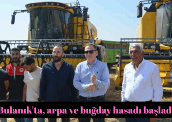 Muş Bulanık’ta, arpa ve buğday hasadı başladı!