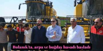 Muş Bulanık’ta, arpa ve buğday hasadı başladı!