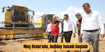Muş Ovası’nda, buğday hasadı başladı!